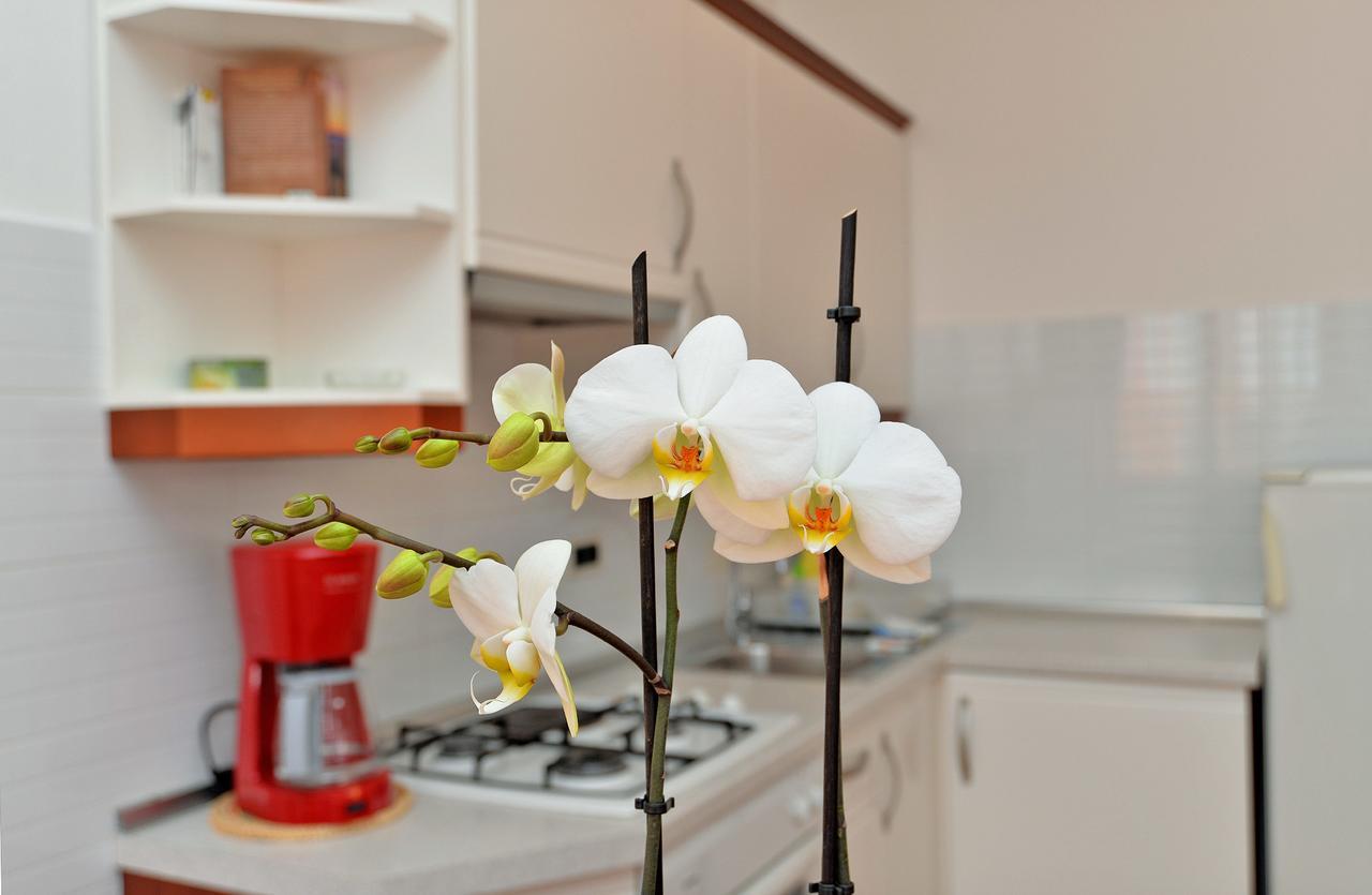Apartment Ljiljana 1553 Novigrad Istria Extérieur photo